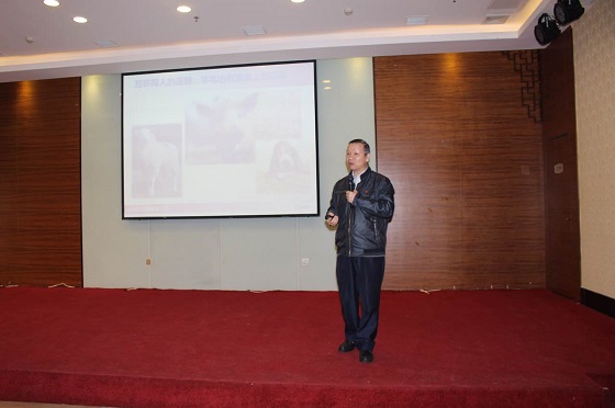 1482714659125033.jpg 527601756531120857.jpg