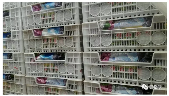 1511491679631577.png 1.png