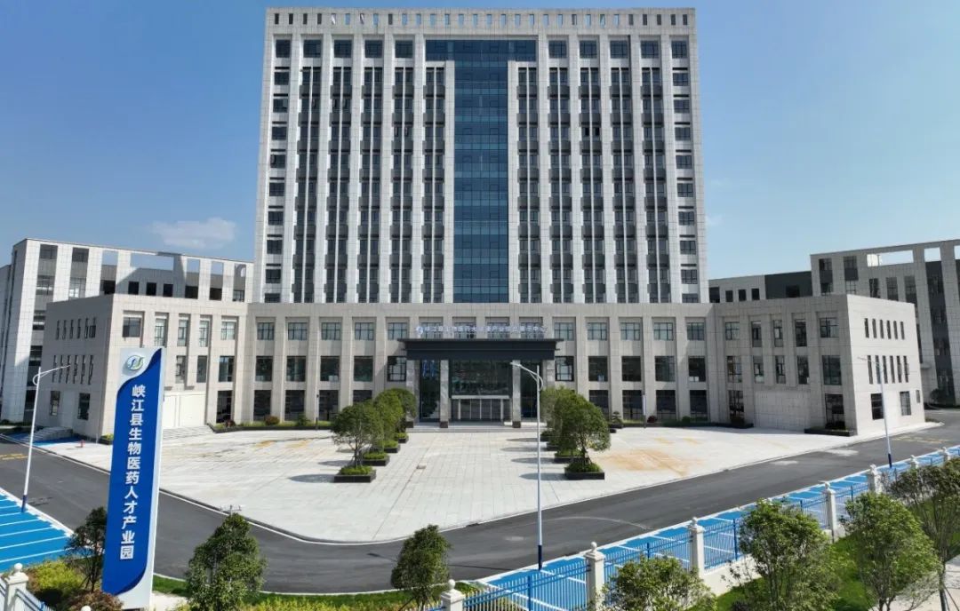 1687743345623616.jpg 640 (2).jpg